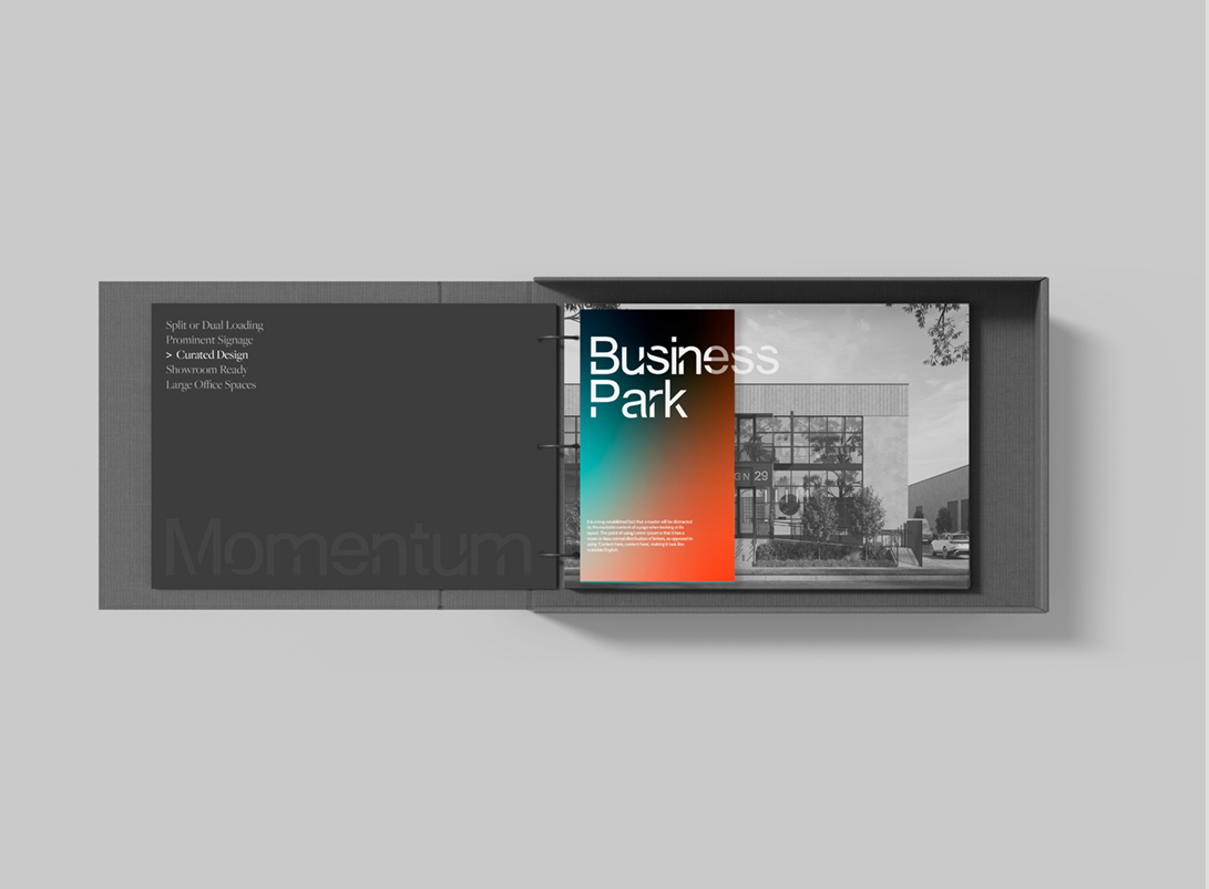 momentum_11